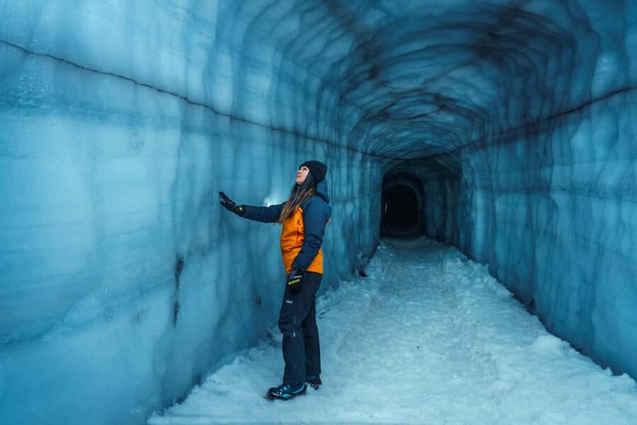 Reykjavik: Silver Circle + Ice Tunnel, Baths, or Lava Cave - Reykholt Horse Farm: the easiest, happiest stop on the day