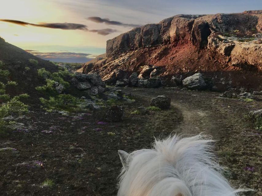 Reykjavik: Small-Group Horse Volcano Riding Tour with Pickup - Getting Matched With Your Horse (and Feeling Safe Fast)
