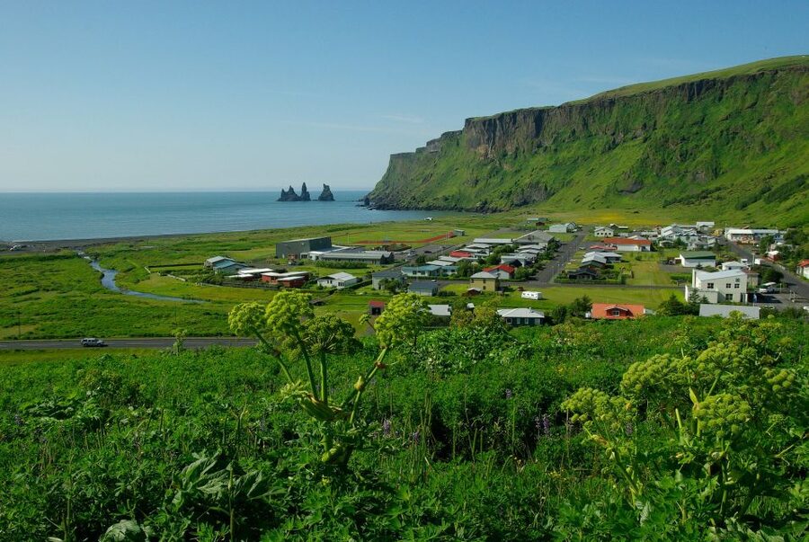 Reykjavik: South Coast Private Guided Day Tour - Reynisfjara Black Sand, Basalt Columns, and Reynisdrangar Sea Stacks
