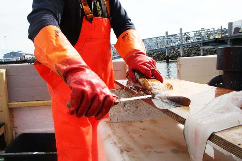 Reykjavik: Traditional Sea Fishing with BBQ Feast - Old Harbor Rendezvous: Finding the Boat by Víkin Maritime Museum