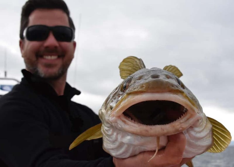 Reykjavik: Traditional Sea Fishing with BBQ Feast - Timing and Weather: How a 3-Hour Trip Fits Reykjavik