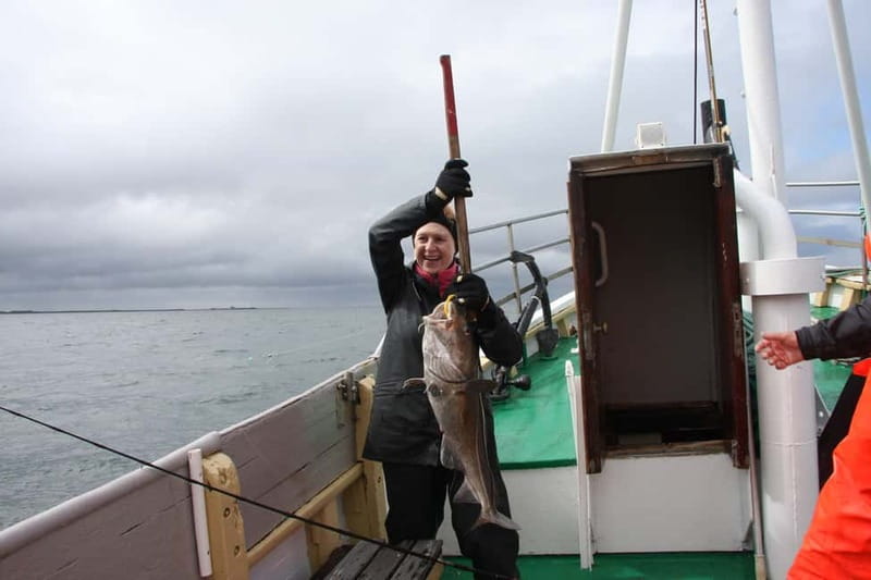 Reykjavik: Traditional Sea Fishing with BBQ Feast - Price and Value at $176 Per Person