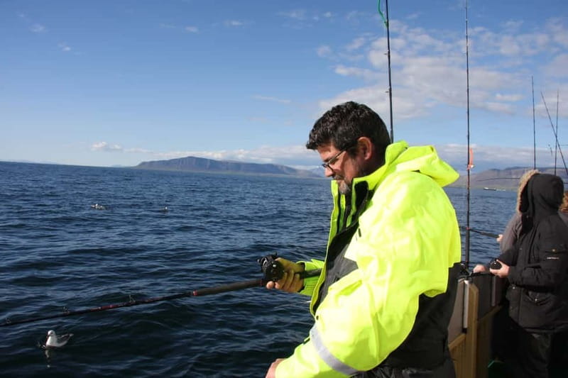 Reykjavik: Traditional Sea Fishing with BBQ Feast - Should You Book This Reykjavik Sea Fishing and BBQ Tour?