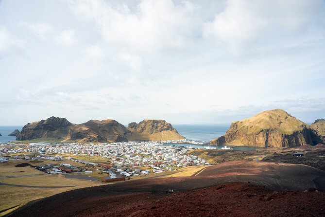 Reykjavík: Westman Islands, Volcanoes and Puffins Minibus Tour - Town Time on Heimaey: Lava Fields and a Slower Pace