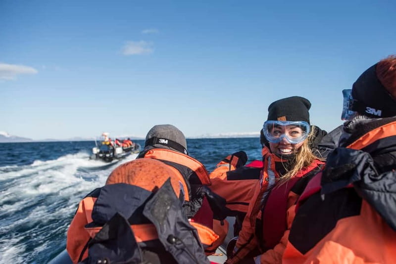 Reykjavik: Whale and Puffin Watching RIB Boat Tour - Price, Time, and Group Size, Is $200 Good Value?