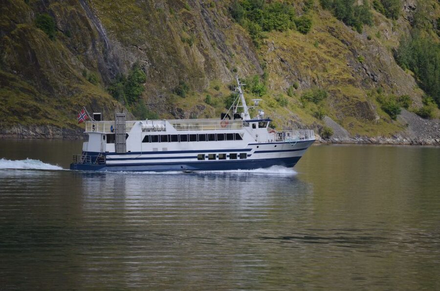 Reykjavik: Whale & Marine Adventure Tour - Price and value: what $104 buys you in the real world