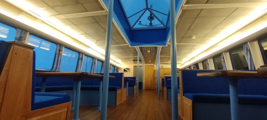 Reykjavik: Whale & Marine Adventure Tour - What to wear and bring so you stay comfortable the whole time