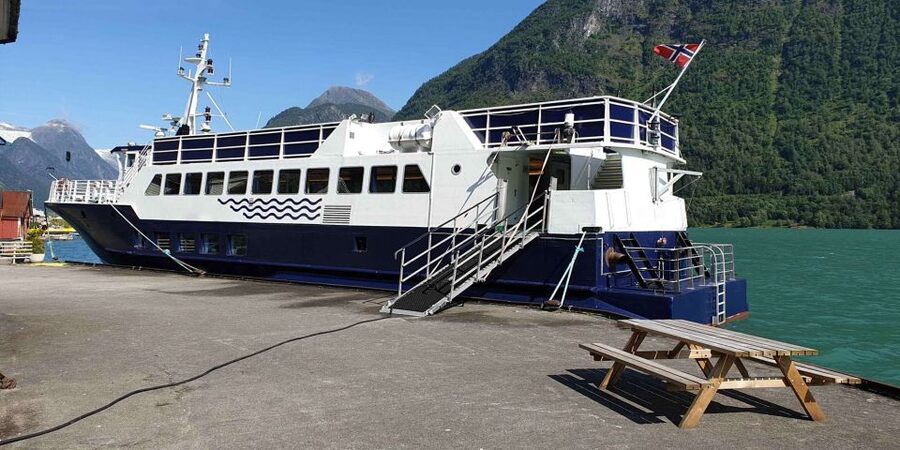 Reykjavik: Whale & Marine Adventure Tour - Heated boat comfort in Iceland: what the setup really gives you