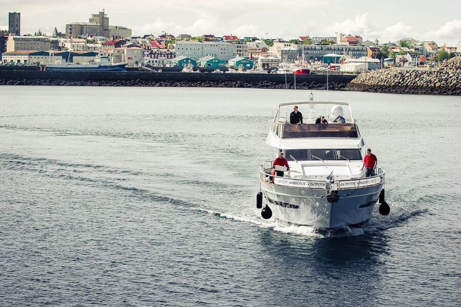 Reykjavik: Whale Watching and Dolphin Watching Yacht Cruise - Why Faxafloi Bay is the sweet spot for whales and dolphins from Reykjavik