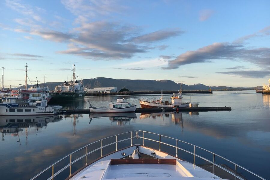 Reykjavik: Whale Watching and Dolphin Watching Yacht Cruise - Check-in at Reykjavik Old Harbor: the self kiosk and how to stay on schedule