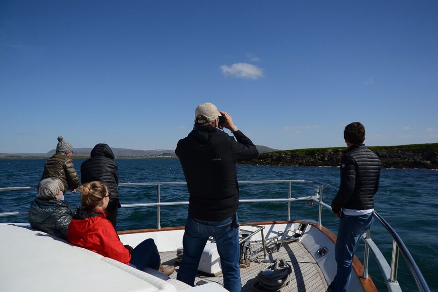 Reykjavik: Whale Watching and Dolphin Watching Yacht Cruise - How the crew and guides improve your odds, including names like Lucky and Rebecca