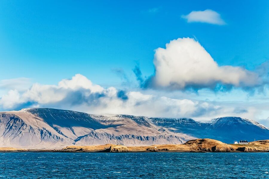 Reykjavík: Whale Watching and Marine Life Cruise - Key highlights worth your time