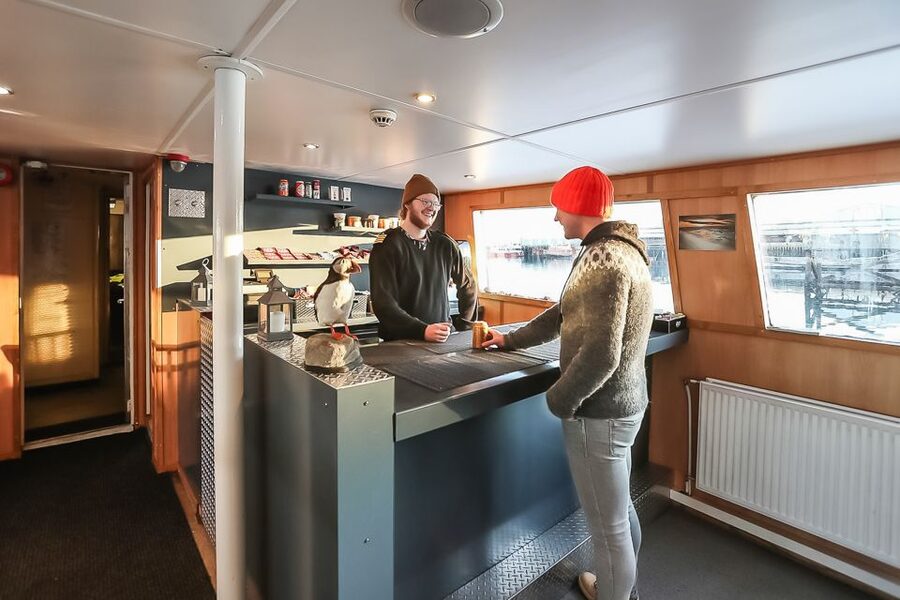 Reykjavík: Whale Watching and Marine Life Cruise - Responsible whale watching: how guides help you watch without bothering them