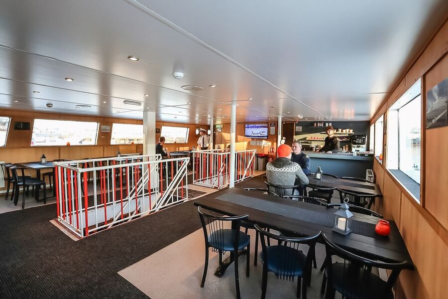 Reykjavík: Whale Watching and Marine Life Cruise - Timing and route changes: why your 3 hours can stretch a bit