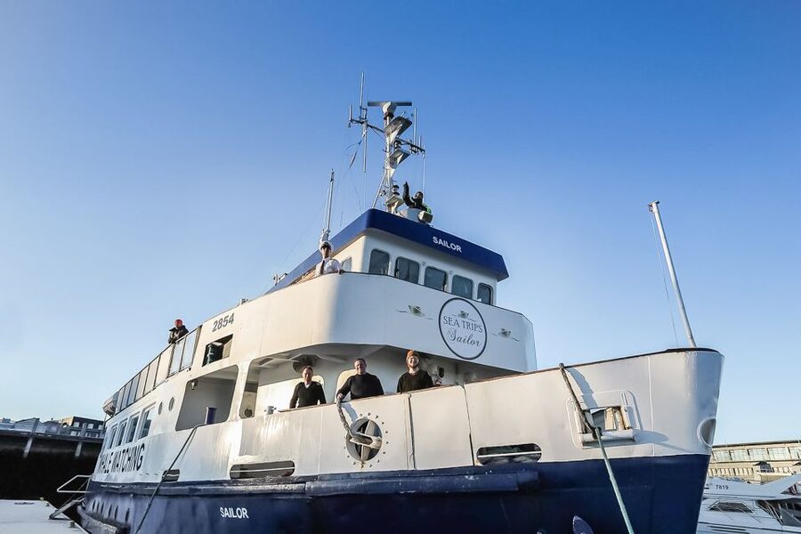 Reykjavík: Whale Watching and Marine Life Cruise - Who this cruise suits best, and who should think twice
