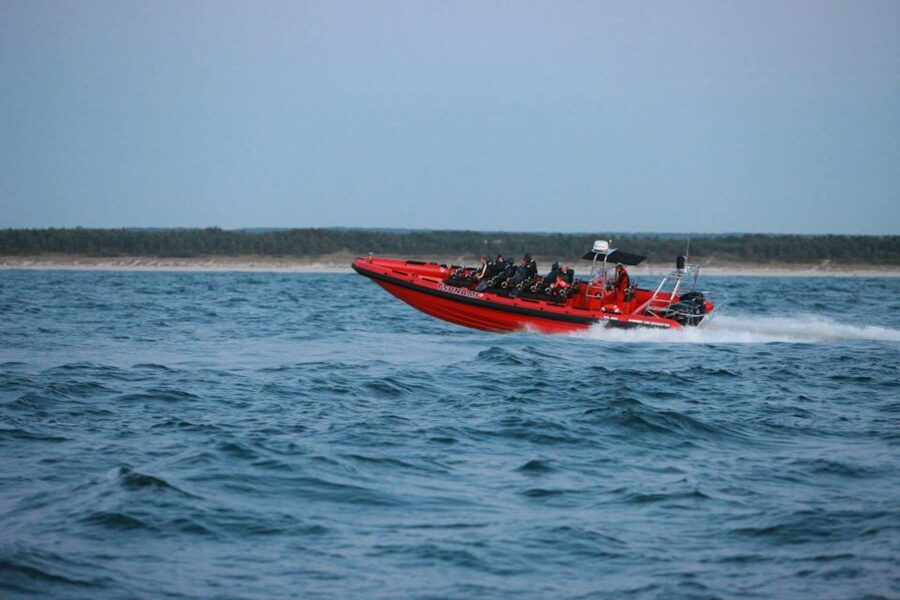 Reykjavik: Whale Watching by RIB Speedboat - Should You Book This RIB Whale Watching in Reykjavík?