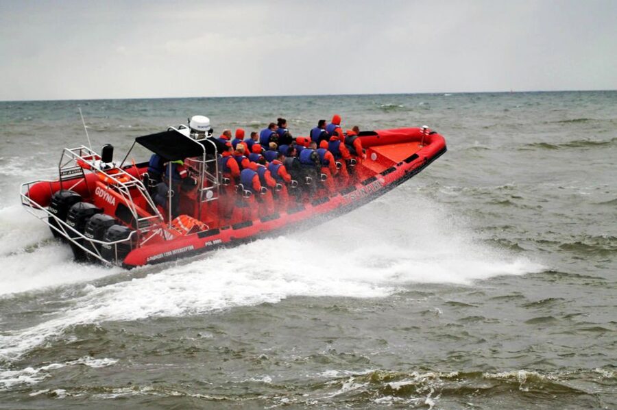 Reykjavik: Whale Watching by RIB Speedboat - Price and Value for a 2-Hour Safari