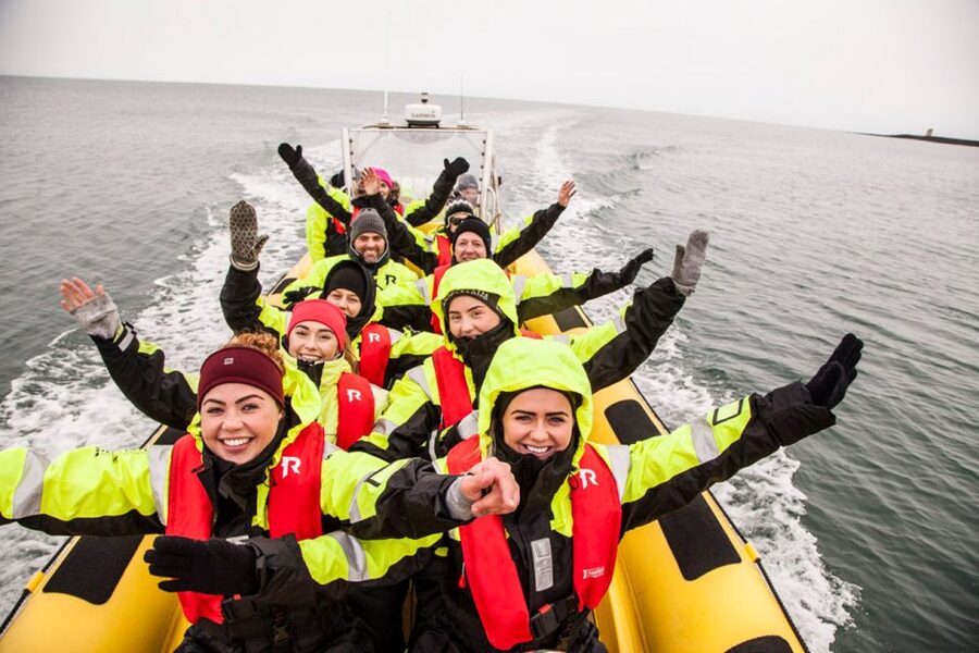 Reykjavik: Whale Watching by RIB Speedboat - Cruising Past Harpa, Engey, and the Islands That Set the Scene