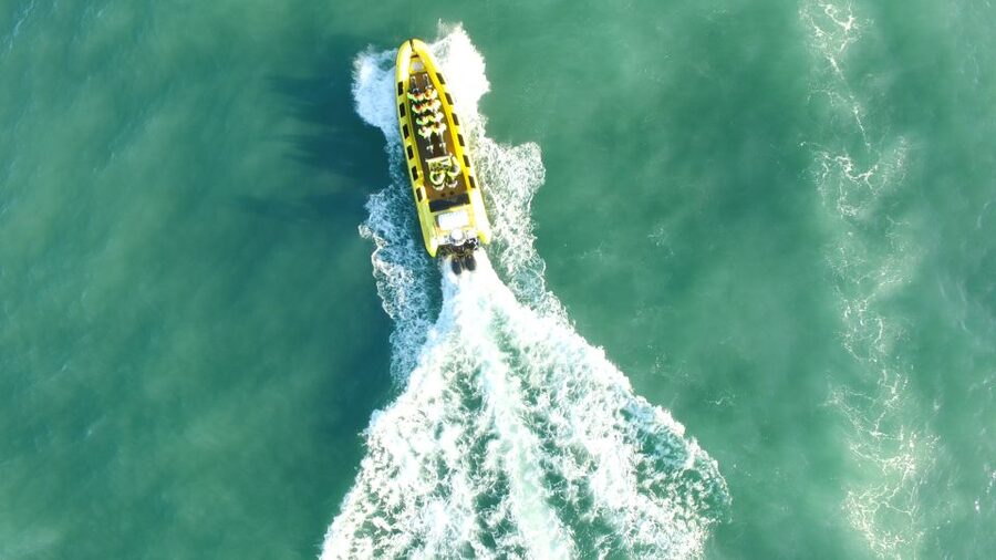 Reykjavik: Whale Watching by RIB Speedboat - How the 12-Seater RIB Hunt Typically Plays Out