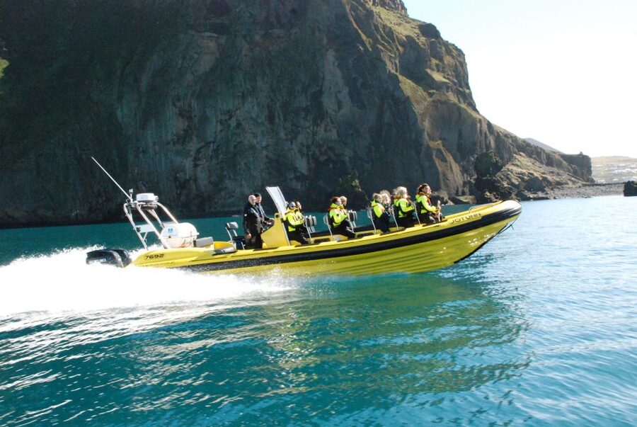 Reykjavik: Whale Watching by RIB Speedboat - Who Should Book This RIB Whale Watch (and Who Should Skip)
