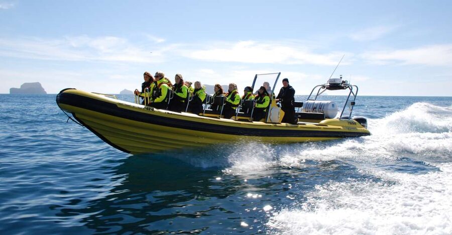 Reykjavik: Whale Watching by RIB Speedboat - Old Harbour House: Where You Start, Scan In, and Suit Up Fast