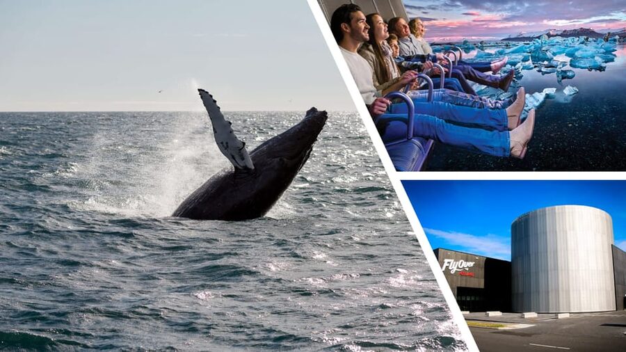 Reykjavík: Whale Watching Cruise and FlyOver Combo Ticket - FlyOver Iceland: a motion-based flight with wind, scents, and a curved screen