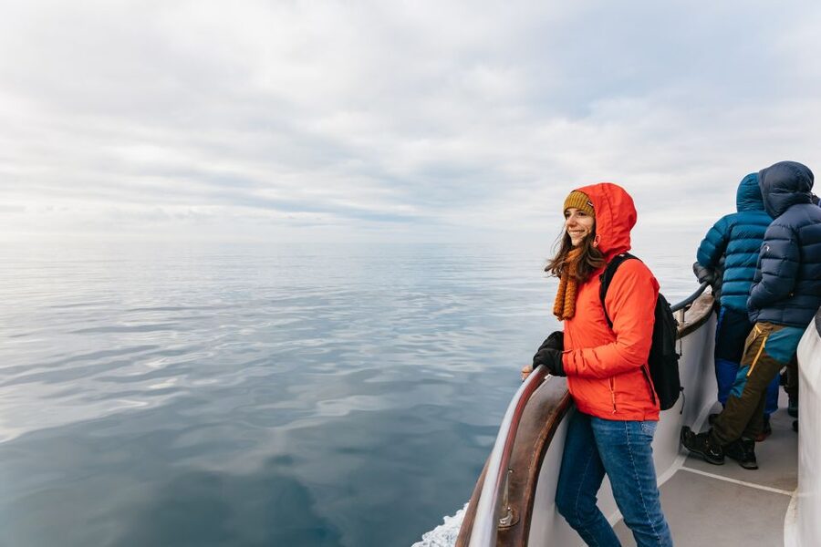 Reykjavík: Whale Watching Cruise on the Amelia Rose Yacht - Price and Value: Does $107 Buy Comfort, Coverage, and a Fair Chance?