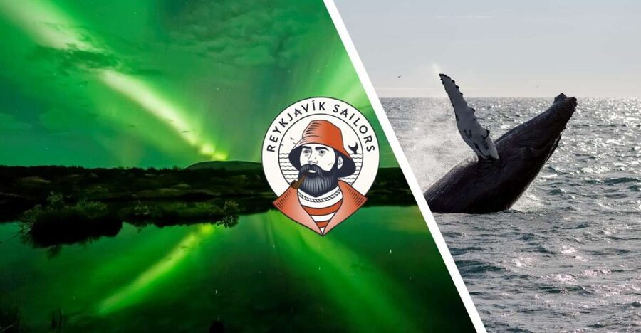 Reykjavik: Whale Watching & Northern Lights Combo Cruise - Reykjavik Break Time: Turning a Wait into Real Time in Town