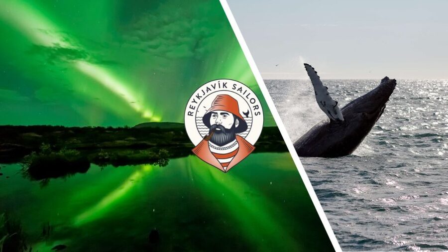 Reykjavik: Whale Watching & Northern Lights Combo Cruise - Faxaflói Bay in Daylight: What to Expect on the Whale Cruise