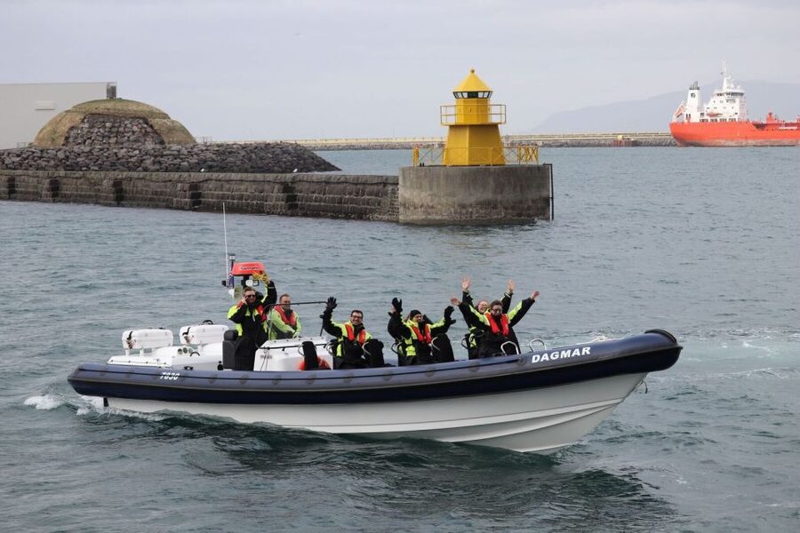 Reykjavik: Whale Watching Tour by RIB Boat - Final Call: Should You Book Reykjavik RIB Whale Watching?