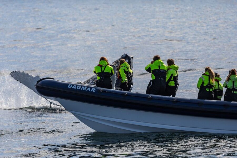 Reykjavik: Whale Watching Tour by RIB Boat - Meeting Aegisgardur 5E: Gearing Up Before the Wind Hits