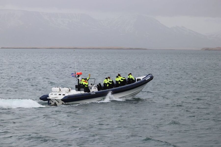 Reykjavik: Whale Watching Tour by RIB Boat - Whales of Iceland Museum After the Tour: Make the Sighting Stick