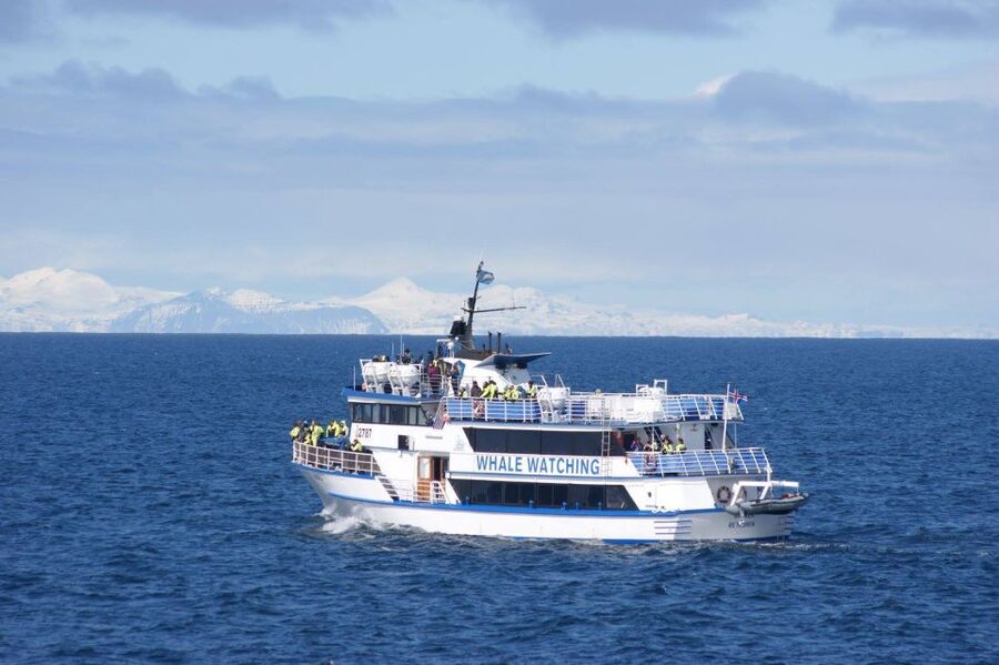 Reykjavik: Whale Watching Tour, Whales of Iceland Exhibition - Thermal overalls and comfort: what to wear so you can focus on whales