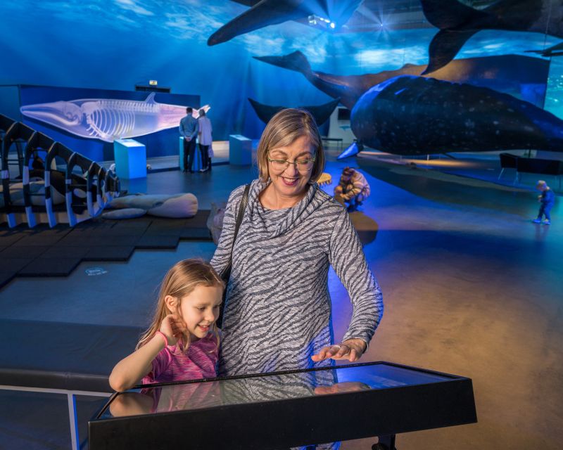 Reykjavik: Whale Watching Tour, Whales of Iceland Exhibition - Faxaflói Bay whale watching: what you’re likely to see