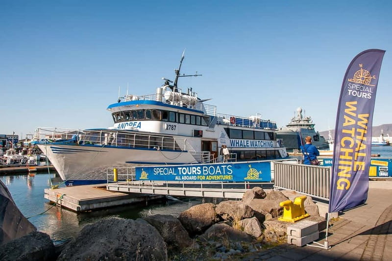 Reykjavik: Whale Watching Tour with Expert Guide - Faxaflói Bay Whale Watching, Why This Route Matters