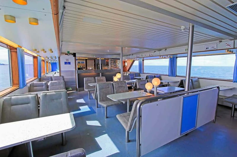 Reykjavik: Whale Watching Tour with Expert Guide - Onboard Extras: Café Stops, Souvenir Browsing, and Free WiFi