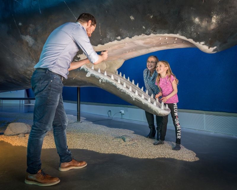 Reykjavik: Whales of Iceland Museum Entrance Ticket - How to Plan This With the Rest of Your Reykjavik Day