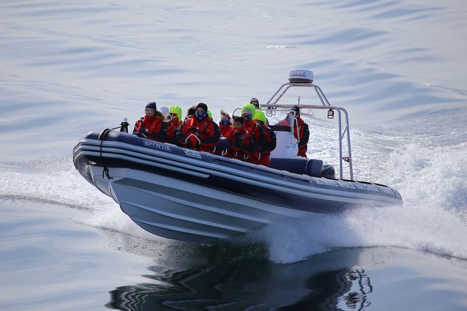 RIB boat express: Whales, Eyjafjord and Akureyri - Small-group RIB dynamics: why 12 passengers can feel like more than a number