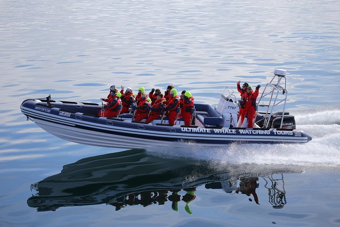 RIB Whale Watching Small-Group Boat Tour from Reykjavik - The photo loop back through Harpa and past Sun Voyager