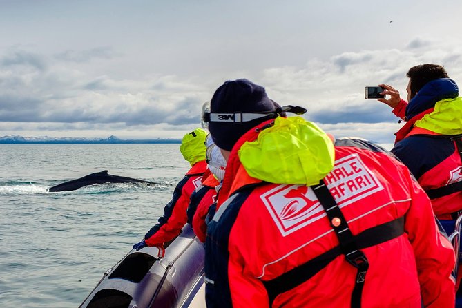 RIB Whale Watching Small-Group Boat Tour from Reykjavik - Meet at Ægisgarður 5d, get ready fast, and set expectations