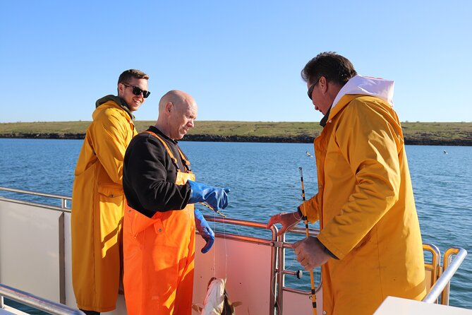 Sea Fishing Experience from Reykjavik - Key Things I’d Watch For