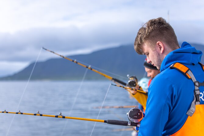 Sea Fishing Experience from Reykjavik - Head Out into Faxaflói Bay, Expect Wind and Maybe Whales