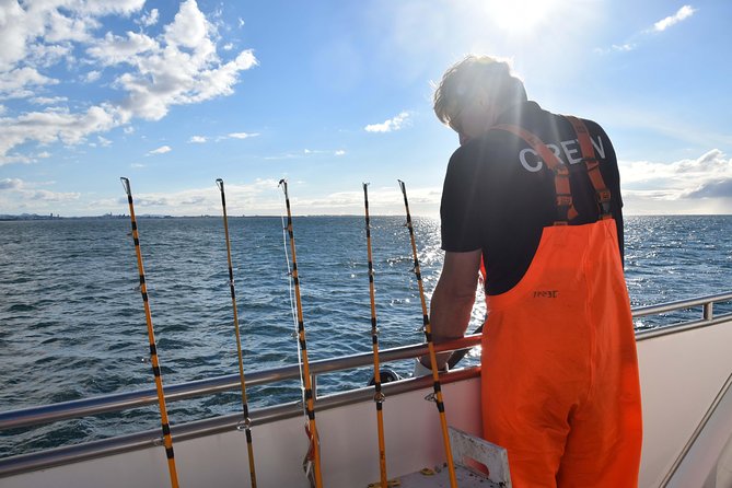 Sea Fishing Experience from Reykjavik - What You Can Catch in Reykjavik Waters