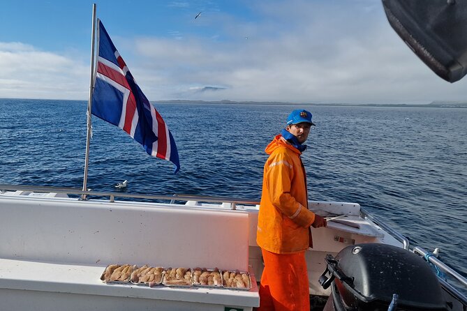 Sea Fishing Experience from Reykjavik - Price and Value: Why $147.54 Can Make Sense