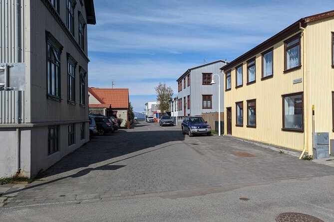 Self-Guided Tour of Ísafjörður: Art, History, and Architecture - Kerecis Unicorn Moment: When Fishing Legacy Becomes Medical Innovation