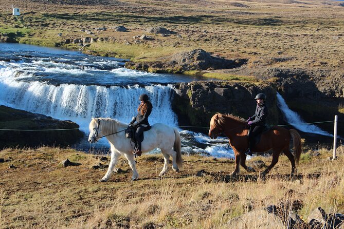 Short Riding Tour with Eye-Catching Photos at Waterfall - Arriving at Hestasport: meeting point, setup, and what to expect