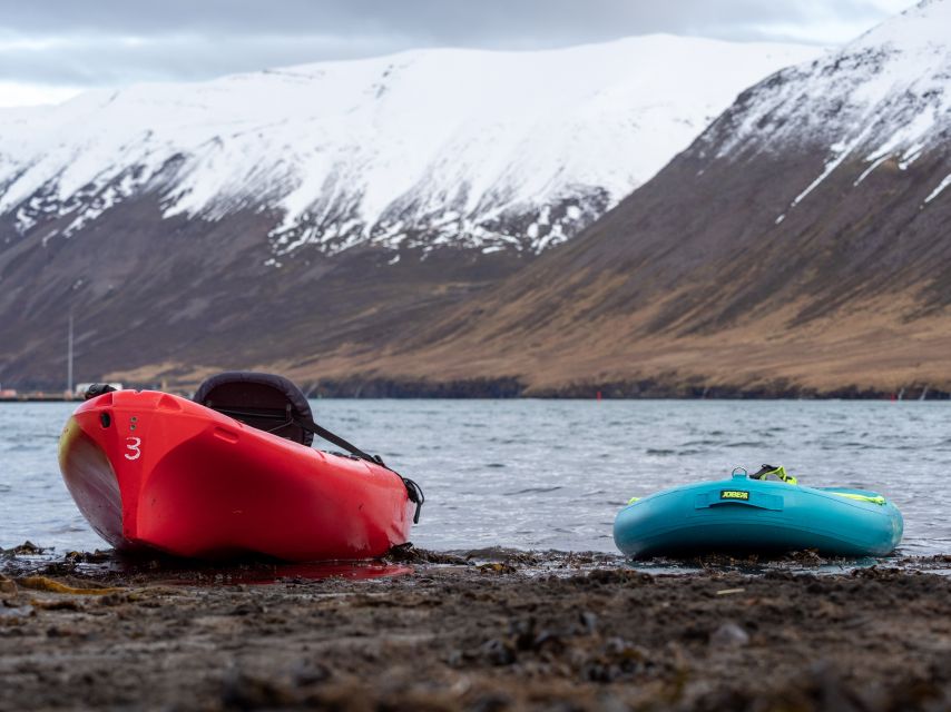 Siglufjörður / Siglufjordur: Guided kayak tour. - Key points before you go