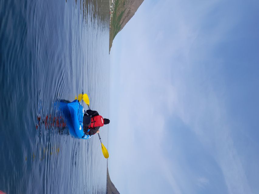 Siglufjörður / Siglufjordur: Guided kayak tour. - Why Sigló fjord kayaking feels different from a normal tour