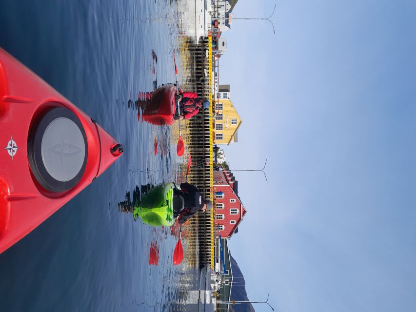 Siglufjörður / Siglufjordur: Guided kayak tour. - The route on the water, from training waters to fjord landmarks