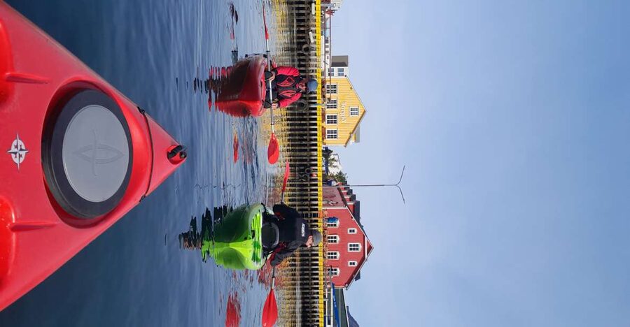 Siglufjörður / Siglufjordur: Guided kayak tour. - Price and value: what $107 really buys you